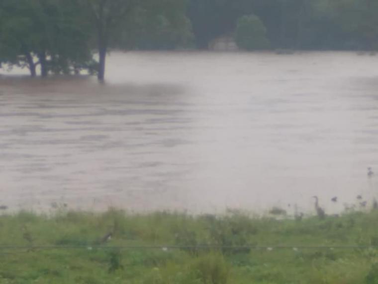 Enchente em Nioaque: Confira algumas imagens da Fazenda São Sebastião